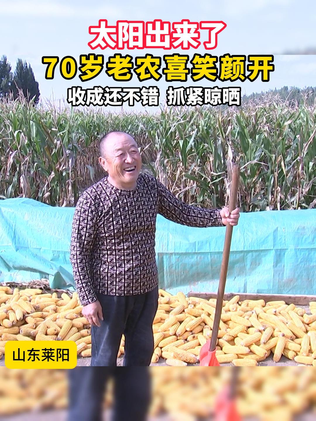 山东莱阳，太阳出来了，70岁老农喜笑颜开。