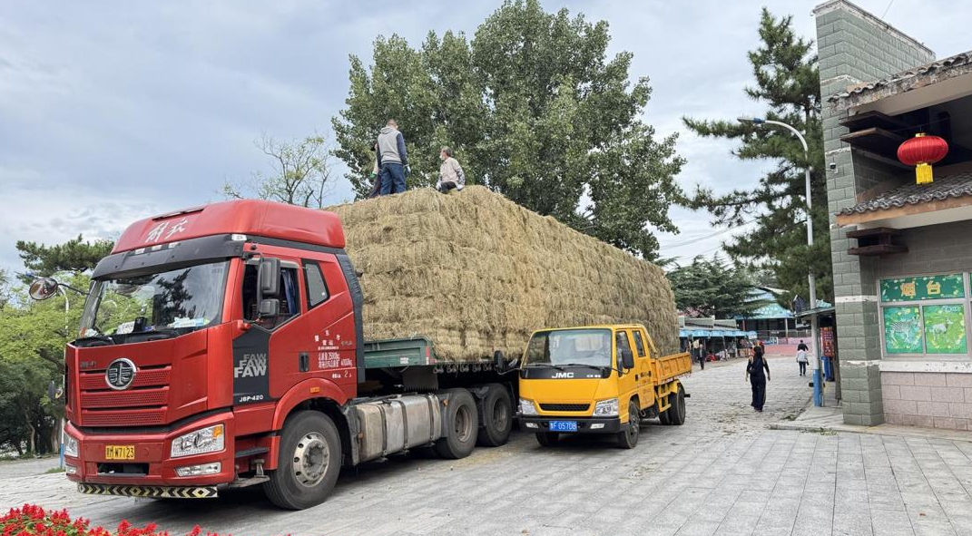 动物园35吨过冬草料入库 动物们这个冬天“衣食无忧”