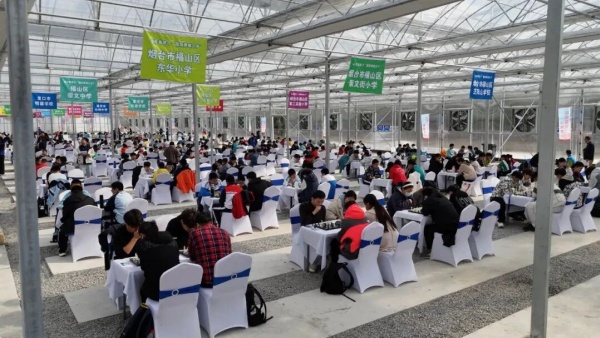 烟台市第二届国际象棋校园联赛在福山举办