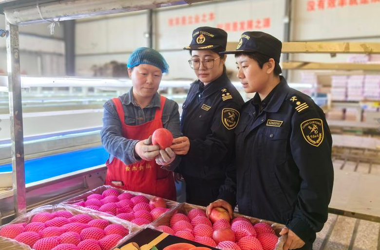 畅销全球54个国家！烟台苹果的“出海密码”