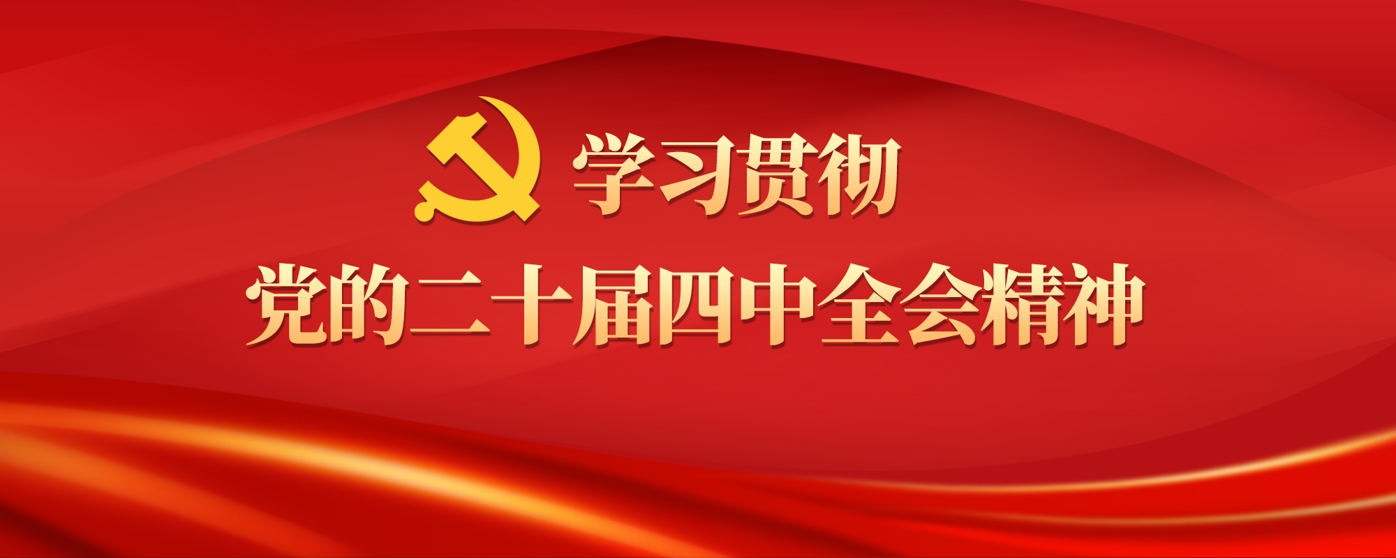 学习贯彻党的二十届四中全会精神