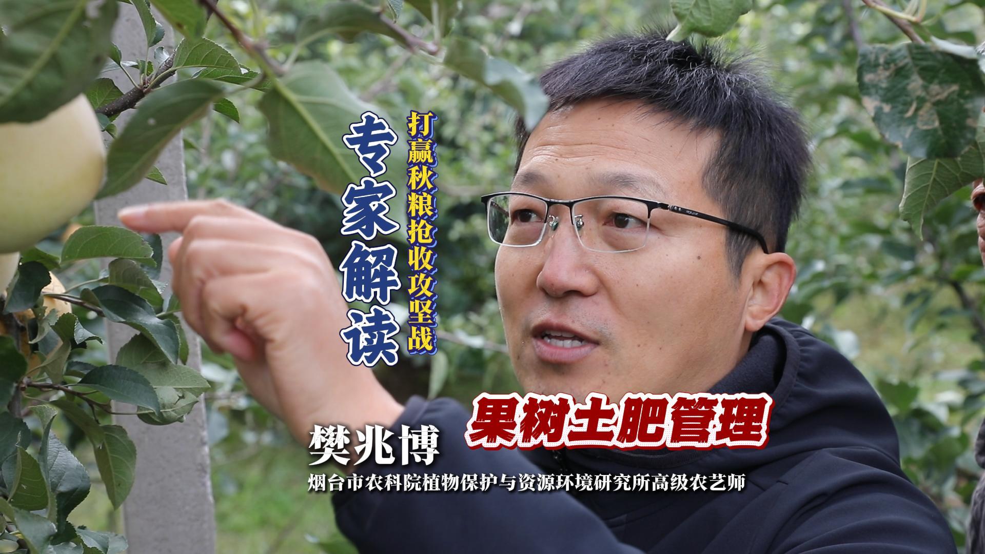 打赢秋粮抢收攻坚战 专家解读：果树土肥管理