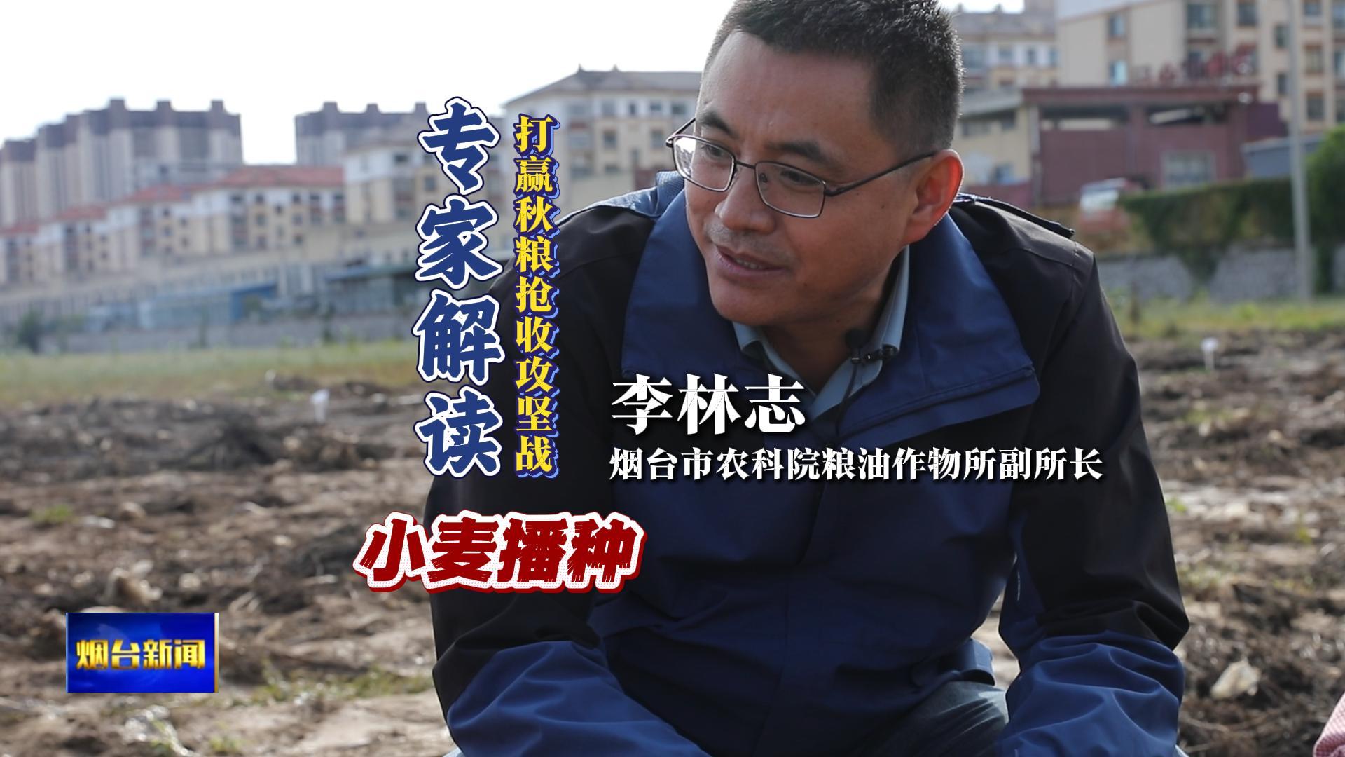 打赢秋粮抢收攻坚战 专家解读：小麦播种
