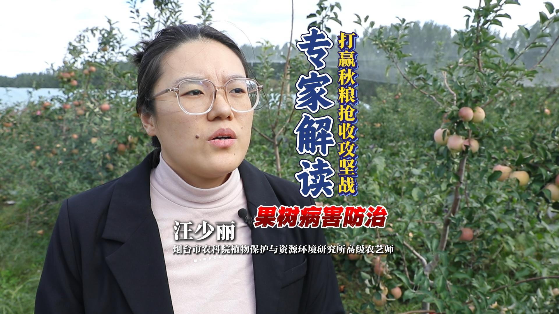 打赢秋粮抢收攻坚战 专家解读：果树病害防治