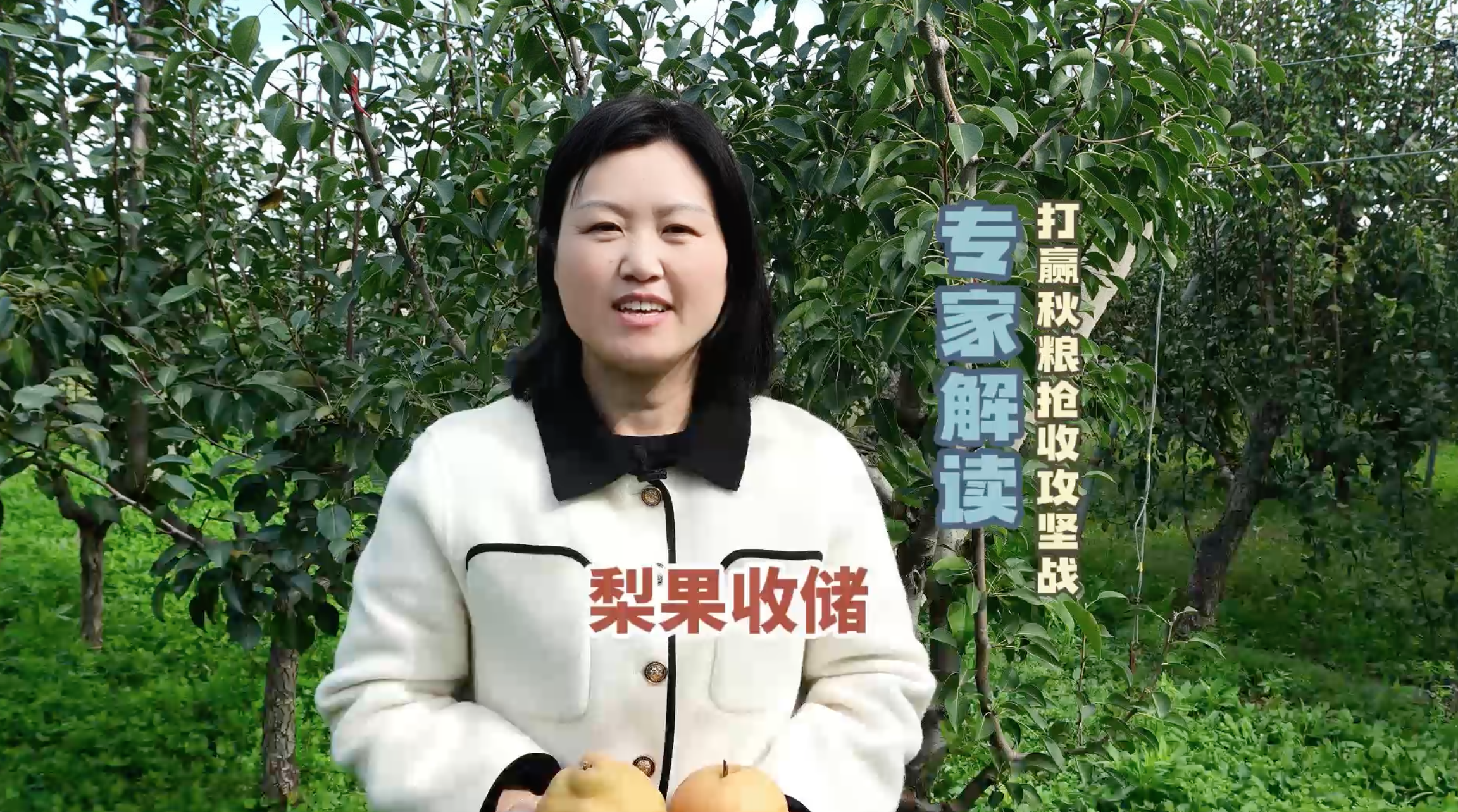 梨果收储，打赢秋粮抢收攻坚战专家解读