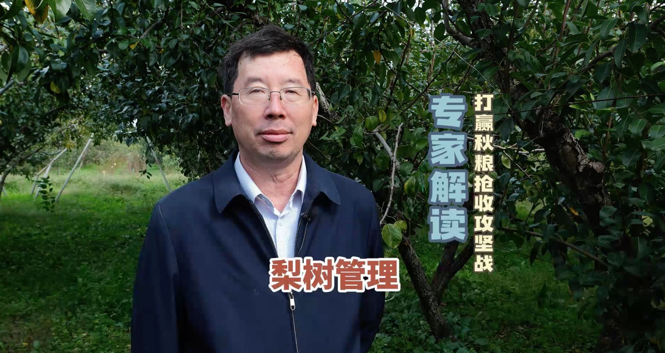 梨树管理，打赢秋粮抢收攻坚战专家解读