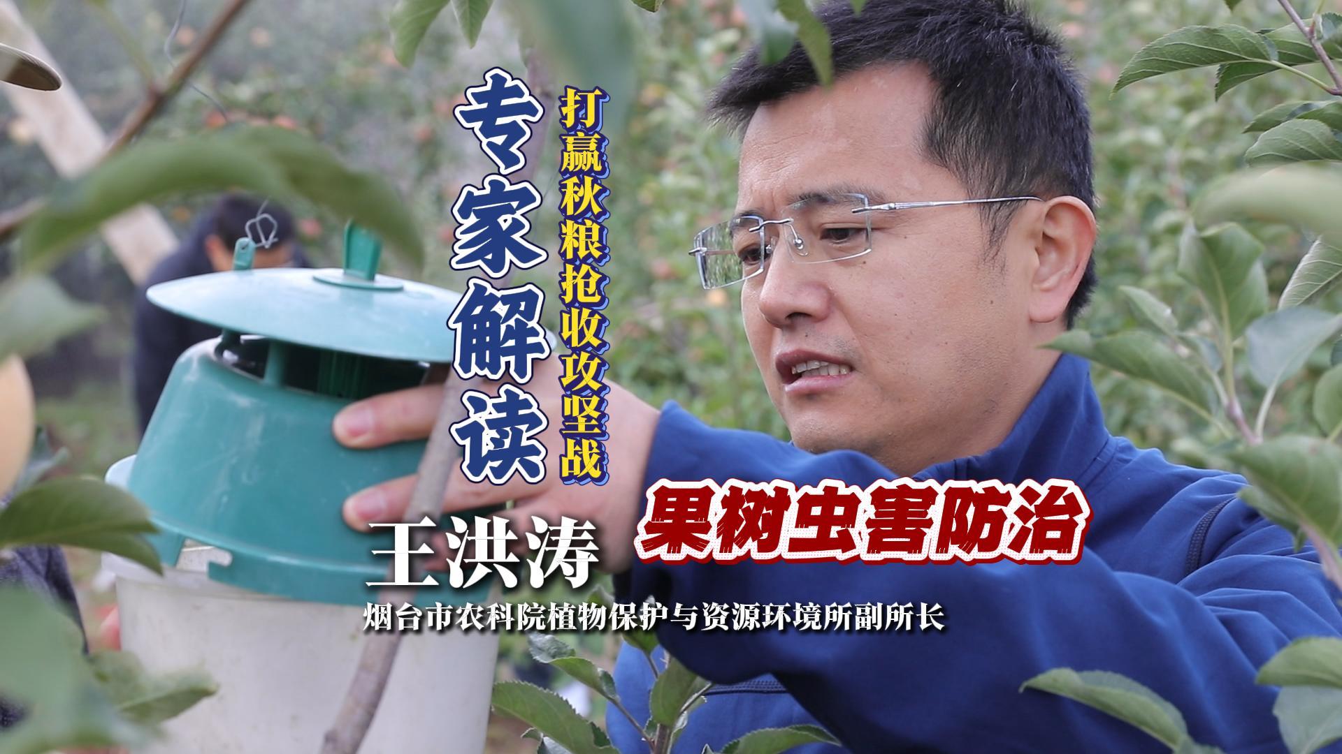 打赢秋粮抢收攻坚战 专家解读：果树虫害防治