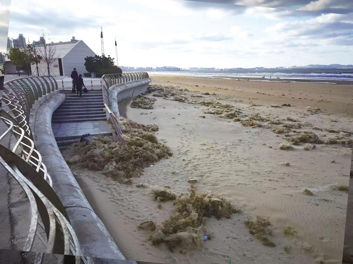 烟台黄渤海新区金沙滩堆积破渔网