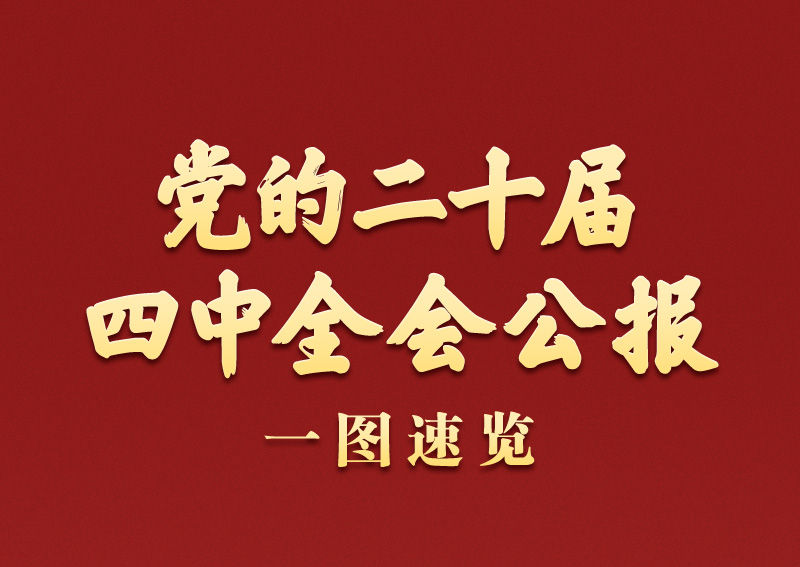 学习新语｜党的二十届四中全会公报一图速览