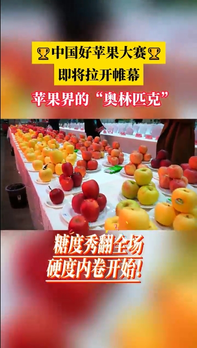 11月到果蔬会看中国好苹果大赛 #第二十三届国际果蔬暨农资种苗博览会