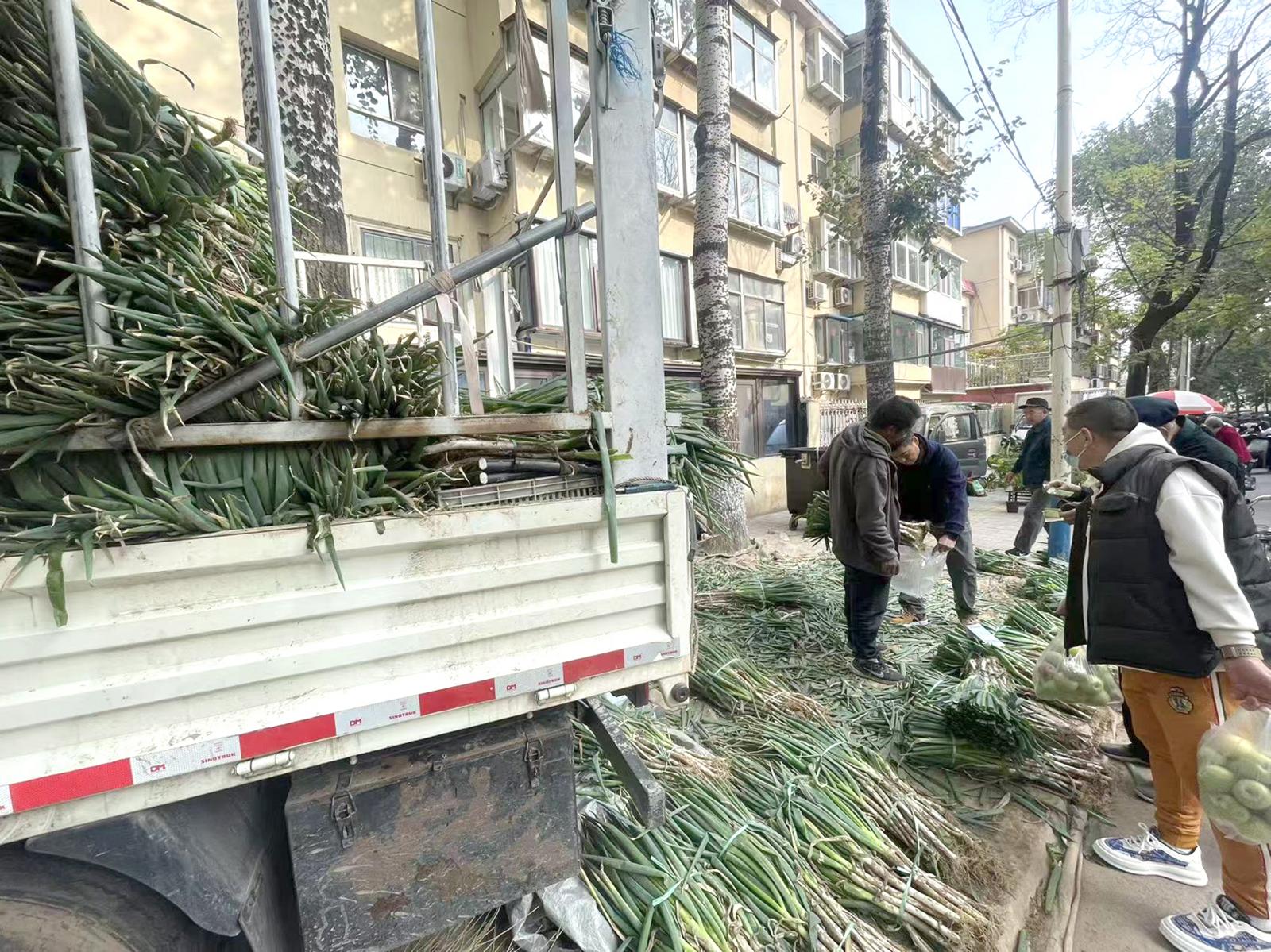 市民“菜篮子”开始换季 冬储菜低价上市