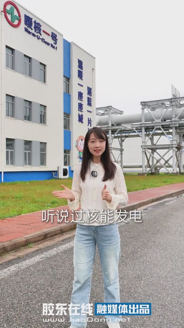 走进海阳核电，了解“暖核一号”核能供热项目的技术原理与应用实践。