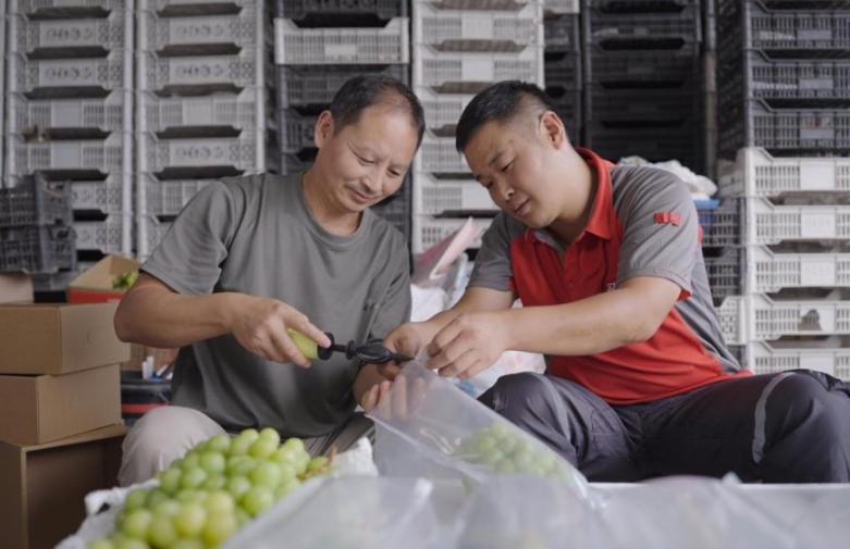 快递服务下沉田间 烟台特色农产品“乘”快车出山