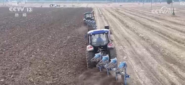 不误农时！全国秋粮主产区收获已超八成半 冬小麦播种陆续展开