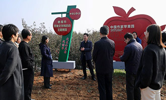 栖霞首届“苹果文学周”开幕