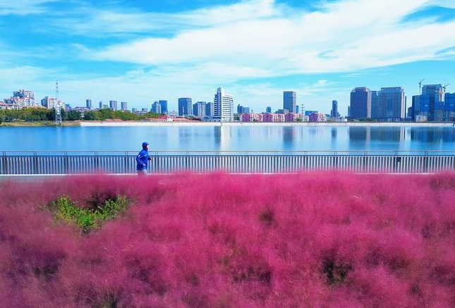 我们的节日·重阳|今日重阳！这些习俗、诗词，讲给孩子听→