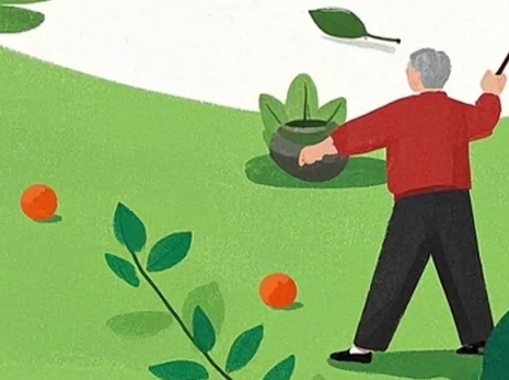 我们的节日·重阳|老年生活如何过得健康多彩，来看这篇指南→