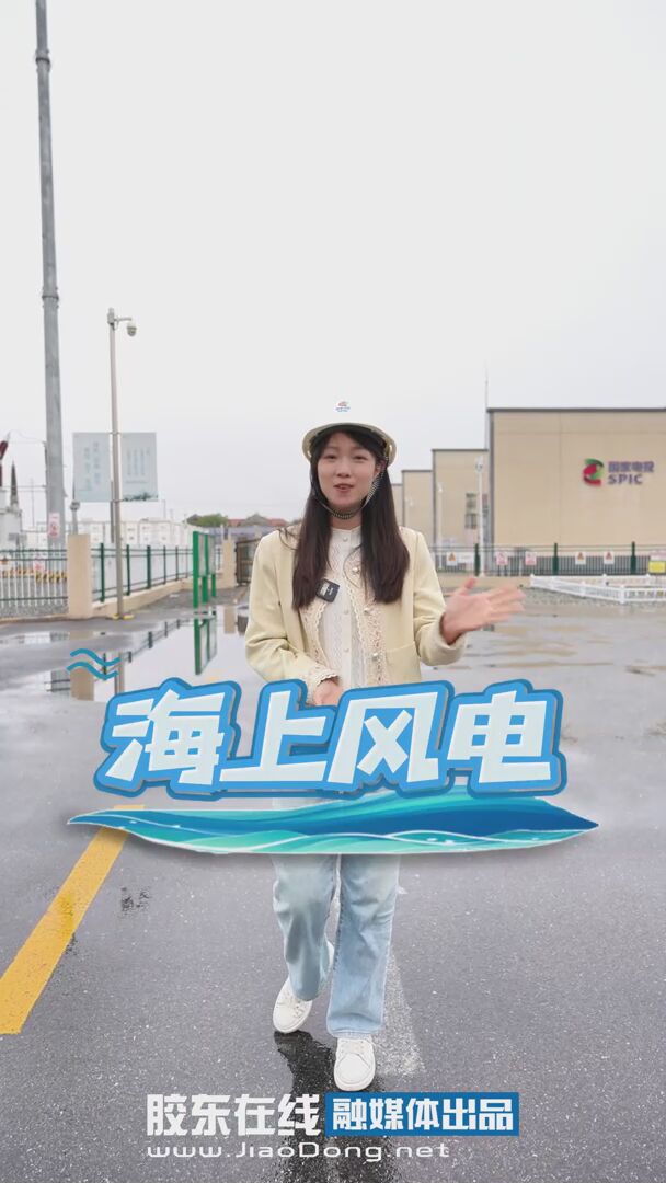 海风公司，向海争风！从技术突破到生态保护，烟台海上风电正书写着中国清洁能源的绿色答卷！