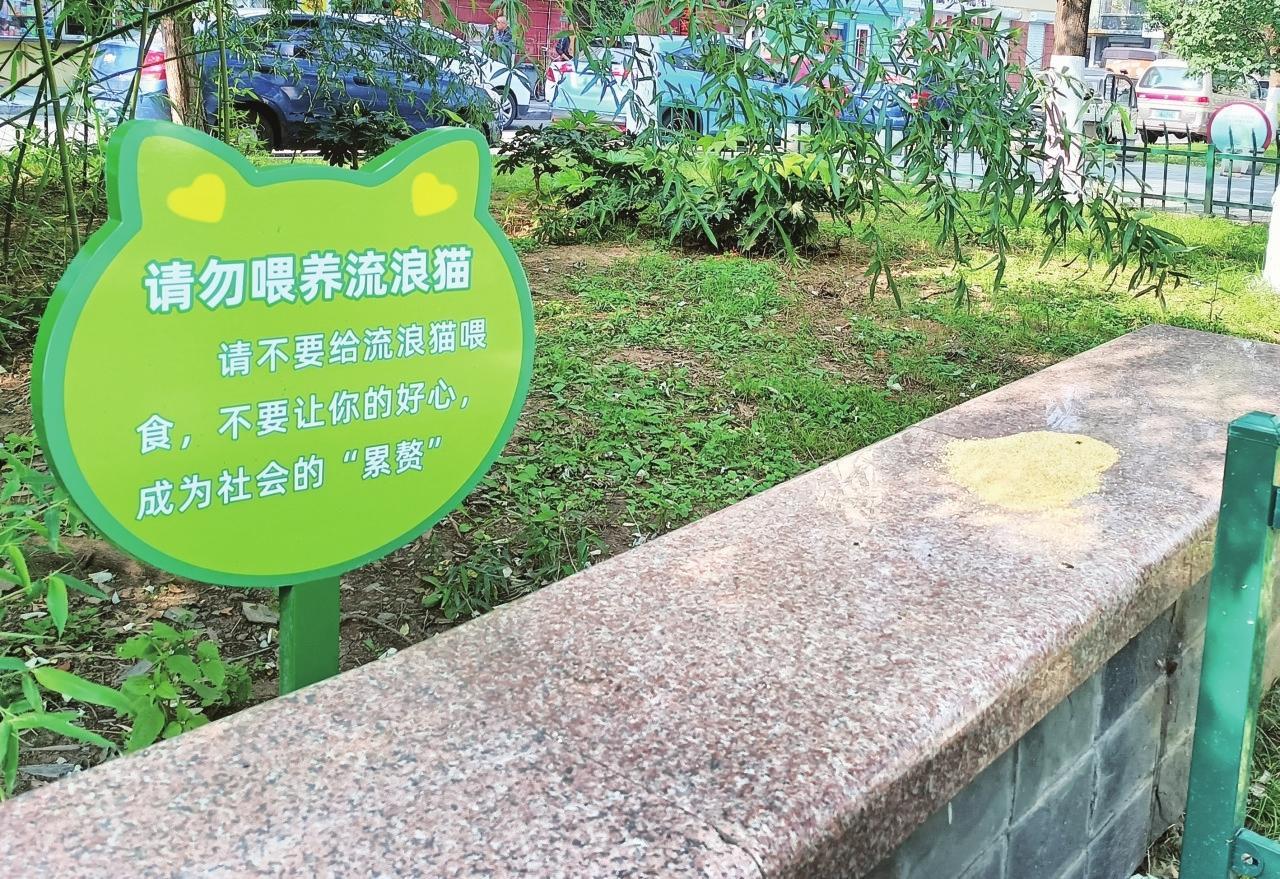 口袋公园4块告示牌丢了俩 市民：告示牌内容引争议