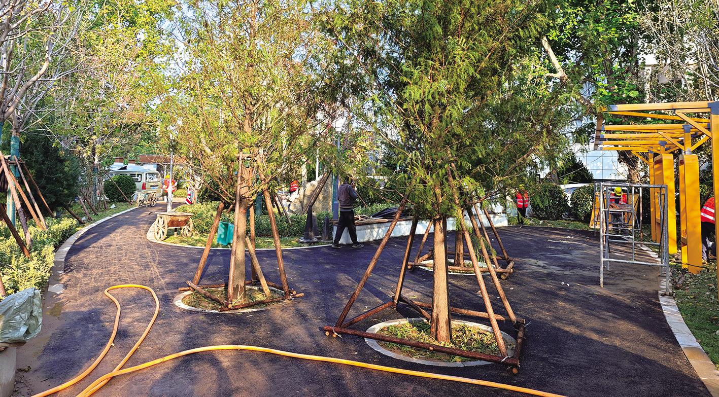 迎东社区口袋公园周末完工 市民家门口赏花、健步、休憩又添“打卡地”