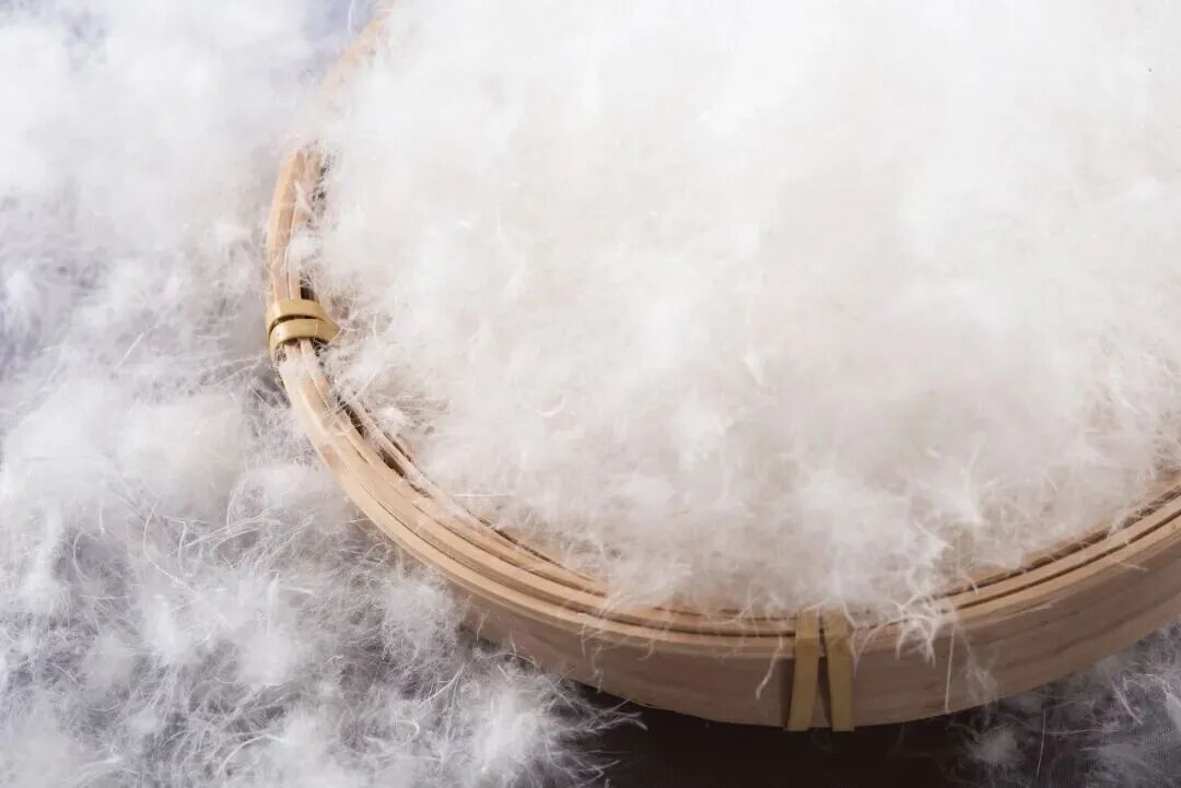 不含“绒子”只含“丝” 不能称为羽绒服