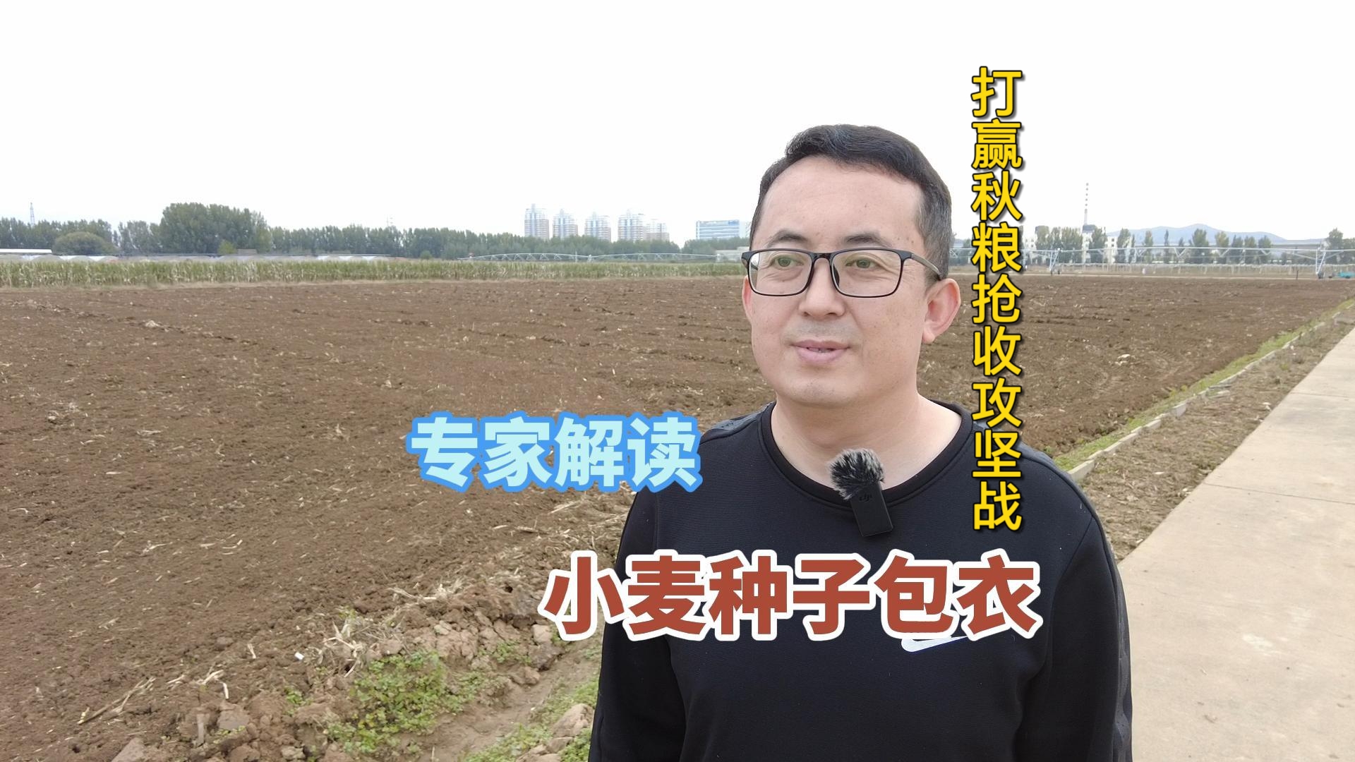 专家解读：小麦种子包衣