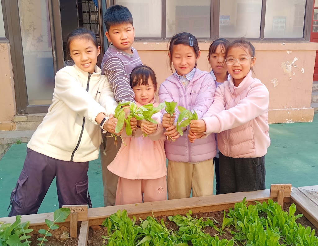 芝罘区养正小学开展“采摘硕果 乐享丰收”主题活动