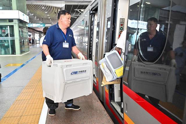 部分车票带“宠”字，宠物托运服务上新了