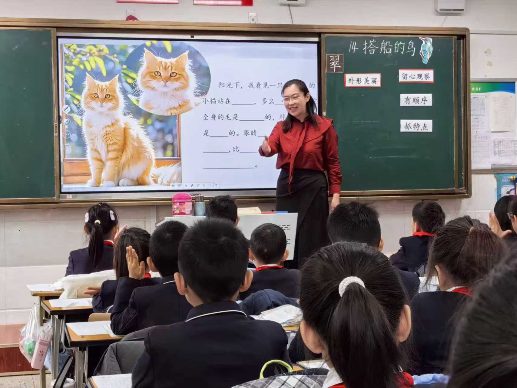 烟台市教科院到芝罘区国翠小学开展教研组建设专项调研