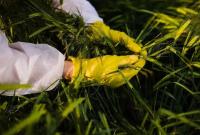 间谍在我国非法搜集亲本种子！国家安全部曝光