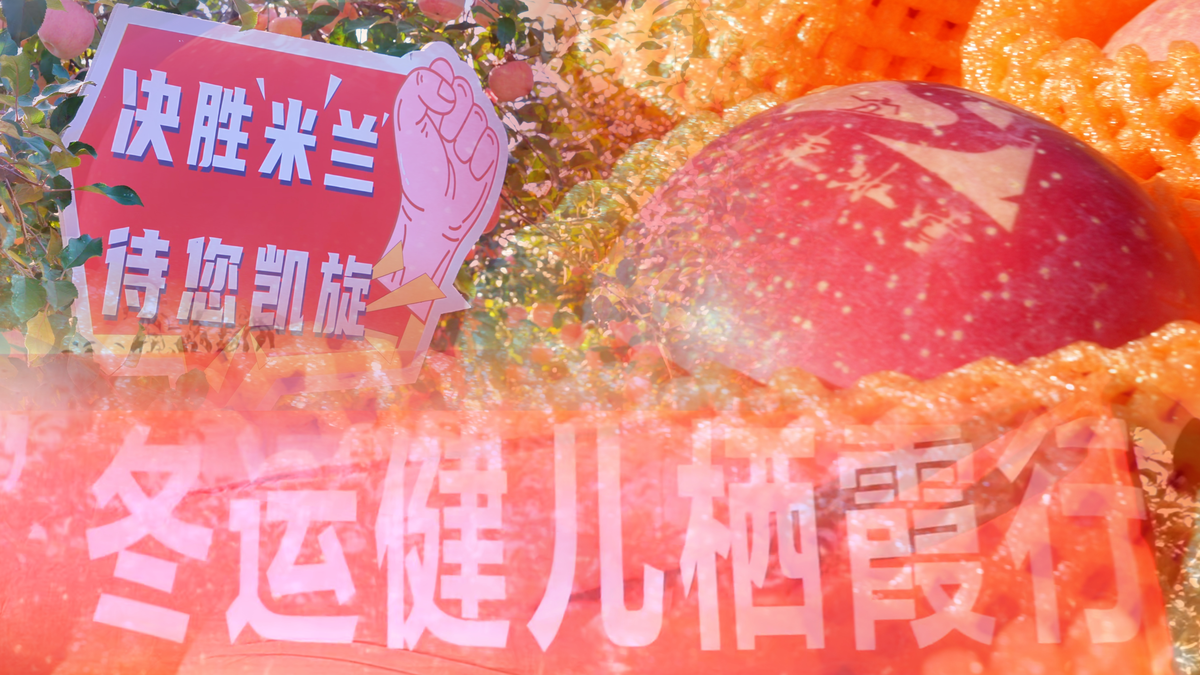 栖霞苹果红了！苹果之乡迎来冠军天团 特色产业为冰雪体育运动赋能 #栖霞苹果#冰雪运动