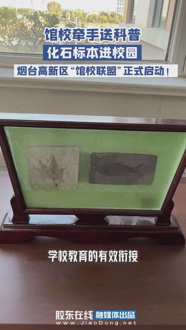 11月4日下午，烟台自然博物馆和烟台高新区教育体育局 “馆校联盟”启动暨“鹦鹉螺科普营”进校园活动首站在崇文小学举行 #烟台自然博物馆#烟台高新区