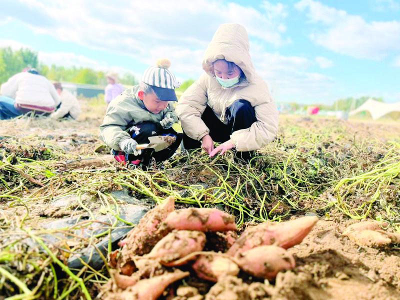 福山将沉浸式研学融入乡村振兴