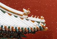 定了！2026年高速免费通行时间→