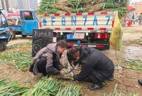 烟台市民忙冬储 餐桌不单调！