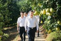 习近平在广东考察时强调 深入学习宣传贯彻党的二十届四中全会精神 以全面深化改革开放推动高质量发展