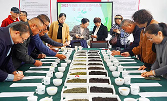2025年海阳市首届茶叶品鉴交流活动成功举办