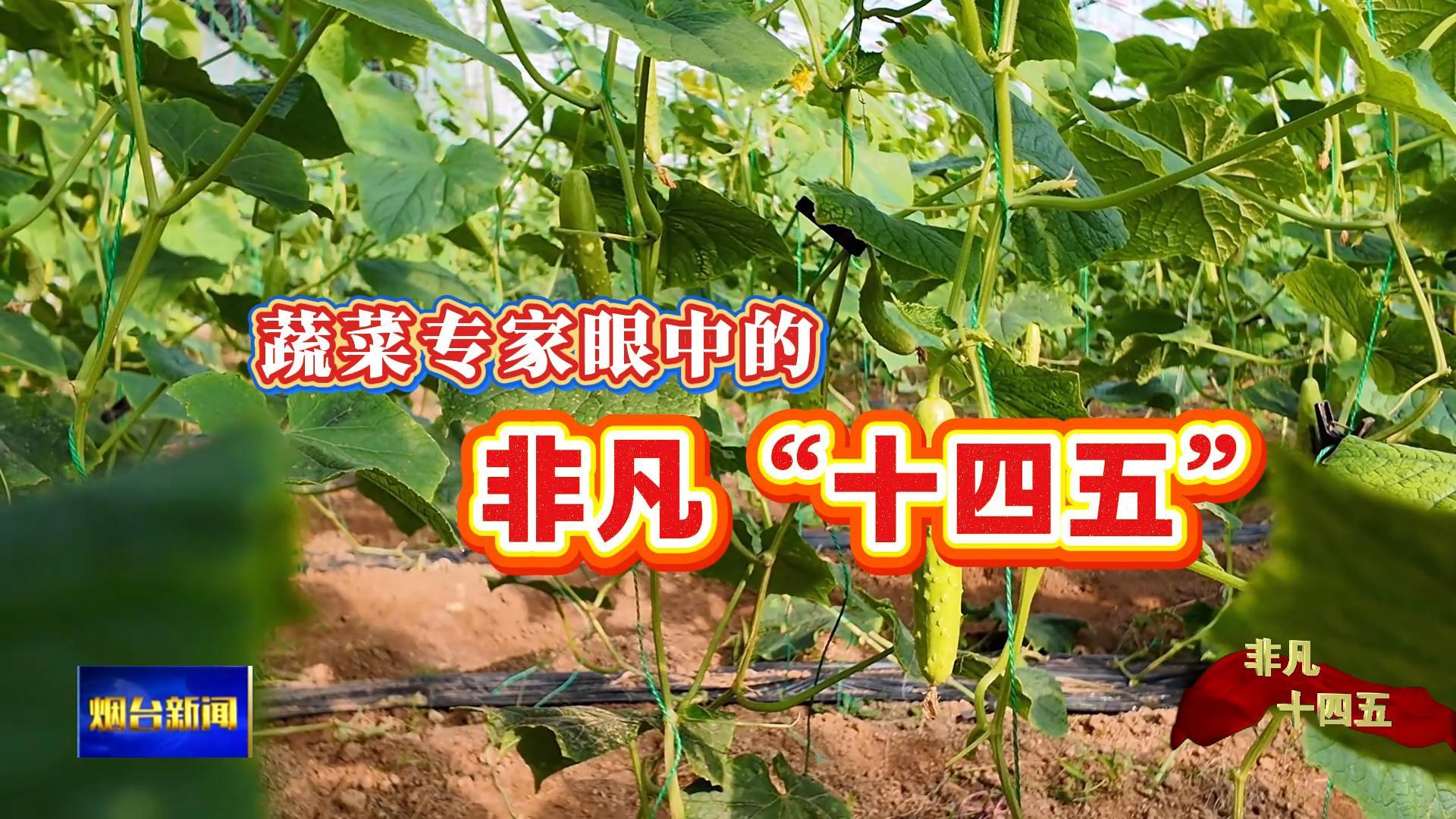 蔬菜专家眼中的非凡“十四五”