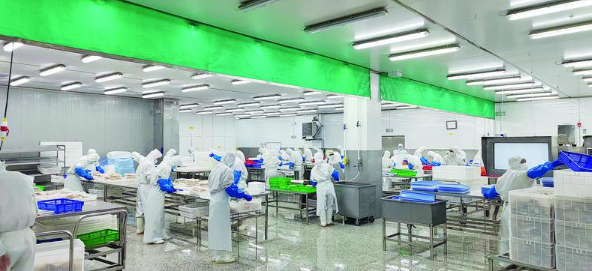 点亮“十四五”|海和集团叩开全球市场