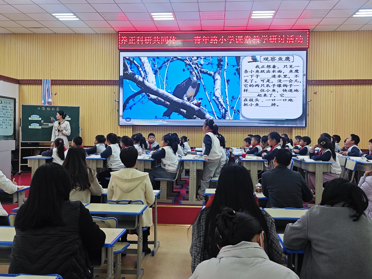 养正科研共同体走进青年路小学开展课堂教学专题研讨