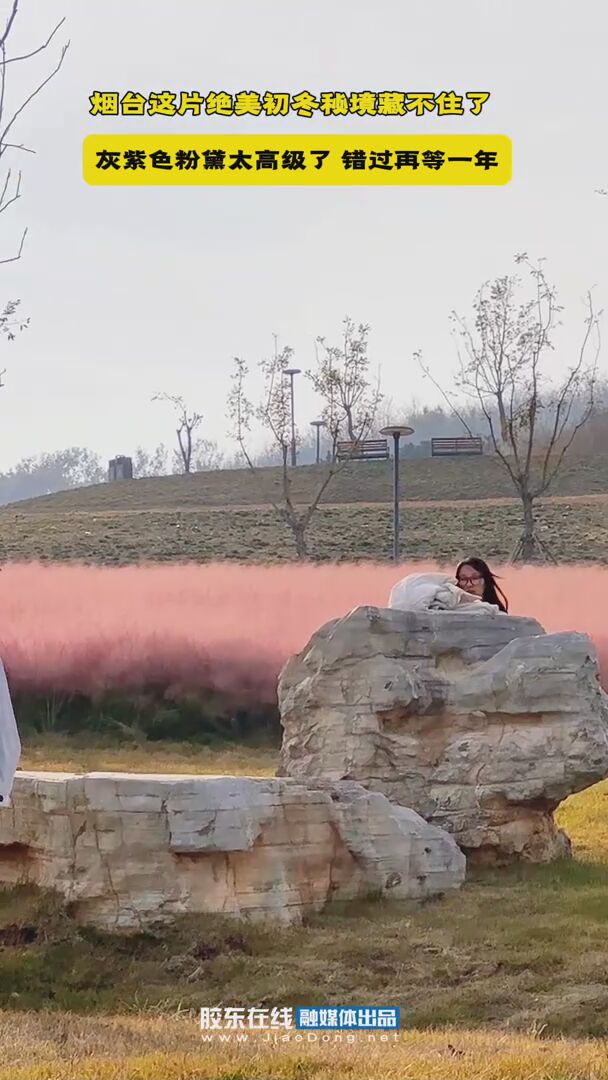 这片绝美初冬秘境藏不住了！#绝美#观海路#山体公园