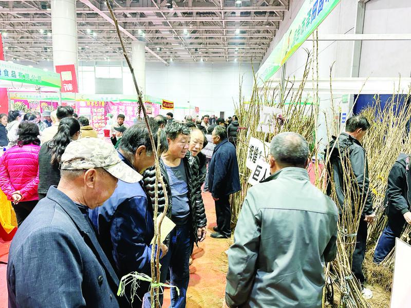 果蔬会精准发力 为果农和苗商搭建产销对接平台