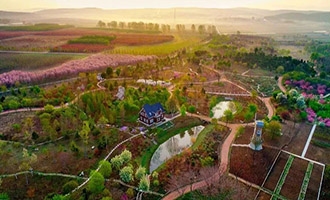 姜疃镇濯村入选山东省生态旅游发展典型案例