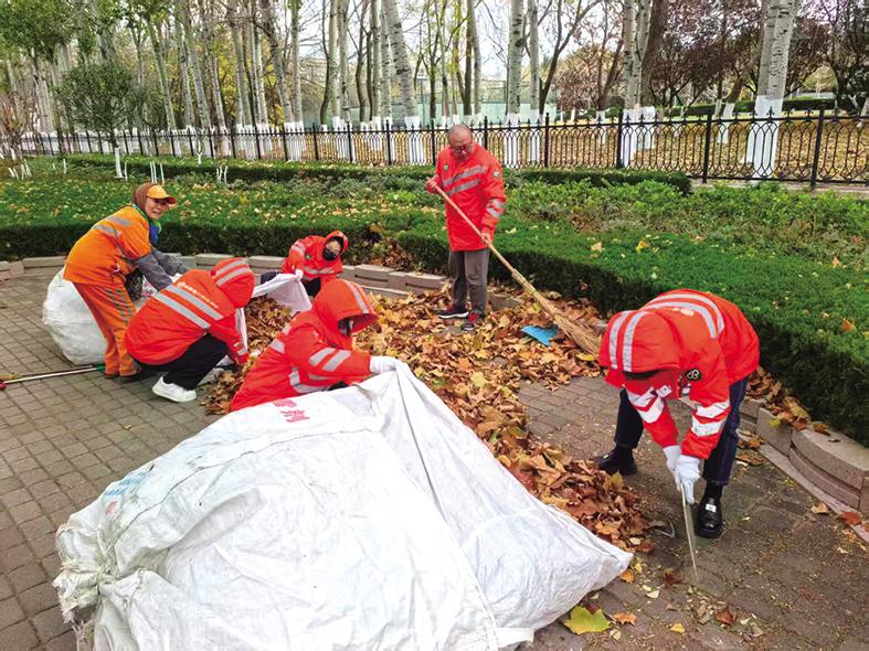 烟台市区累计清理落叶600余立方米
