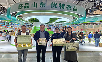 莱阳梨提质提值擦亮“中国梨乡”金字招牌