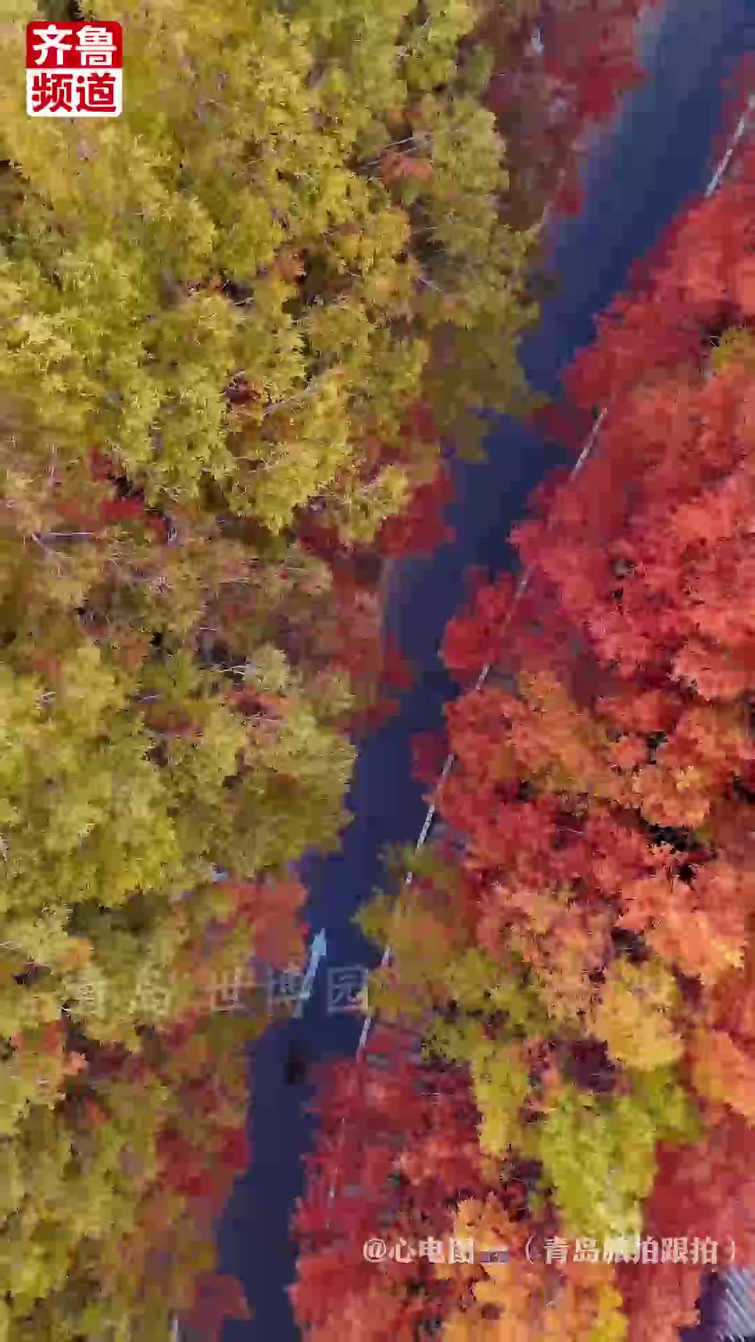 趁寒风未起，去奔赴一场与山东的浪漫约会！
