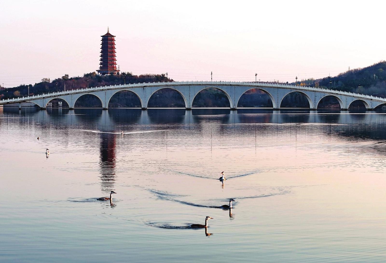 图片新闻|龙湖冬韵