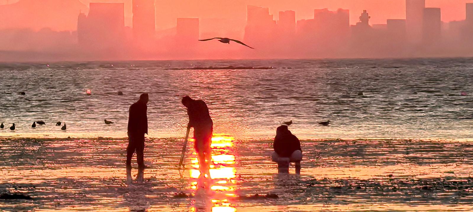 图片新闻|夕阳映照在芝罘岛西海岸