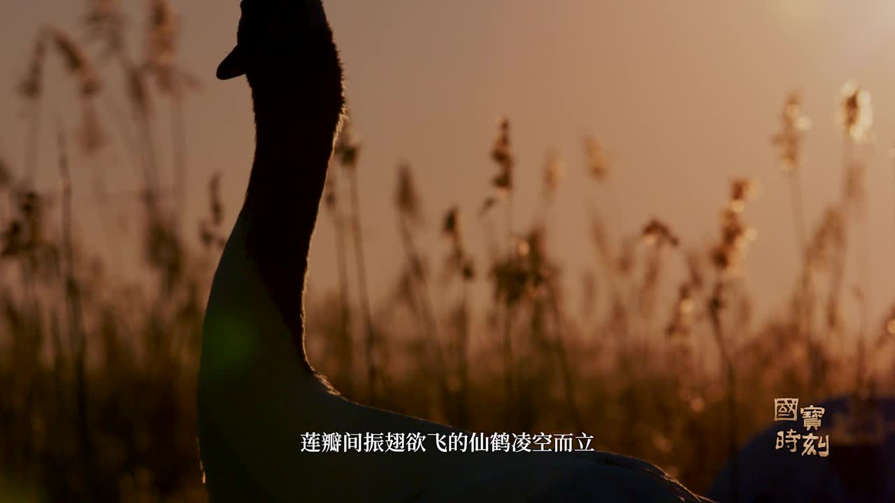 国宝时刻之莲鹤方壶：这件诞生于春秋乱世的方壶，如何冲破旧制，成为时代精神的永恒象征？