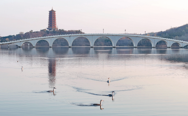 图片新闻|初冬时节的招远市金都龙王湖